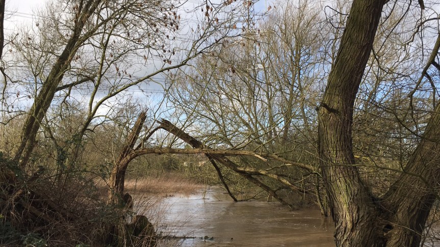 "20160208 Castle Hill Park" Photo: Andrew Nickolls