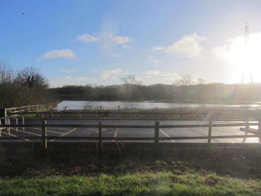 "20160207 Mitchell's Field" Photo: Andy Williams