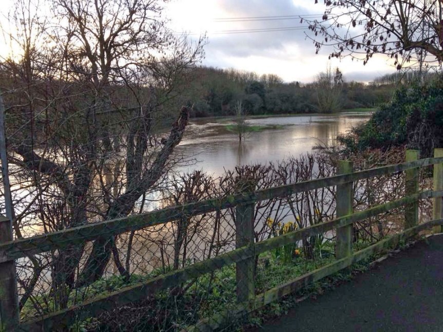 Melody Close, Anstey Photo: Andrew Nickolls