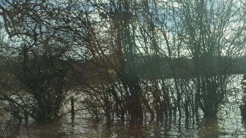 "20160207 Castle Hill Country Park" Photo: Kerry Williams